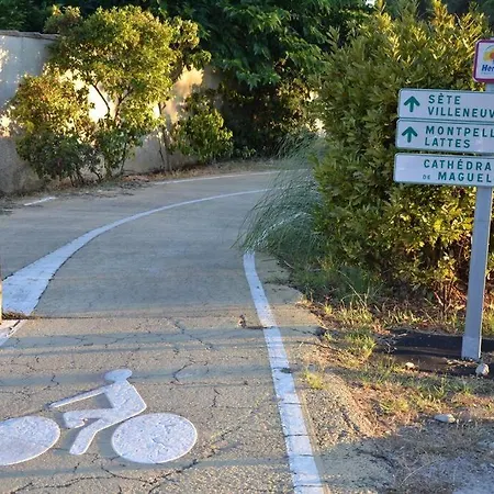 Au Coeur De Palavas, Maison De Pecheur Climatisee Et Pleine De Charme - 50m De La - Commerces&commodites - Laconciergeriebynina *
